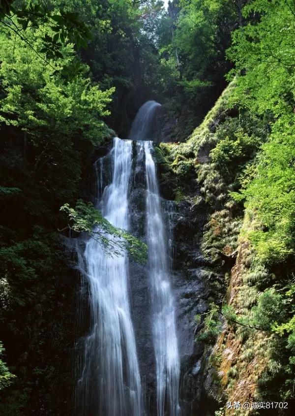 沙特外交部谴责针对叙约边境美军基地的袭击