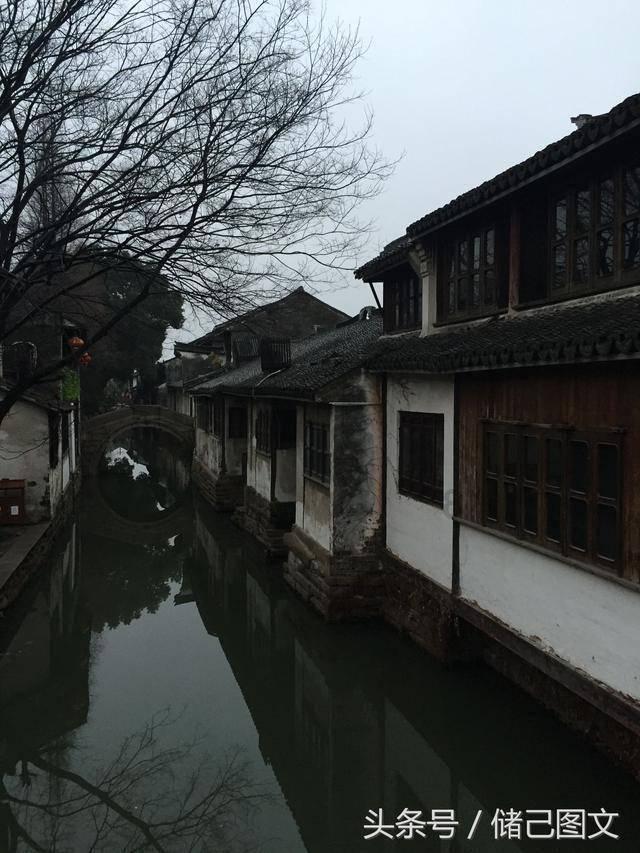 萌犬找不同